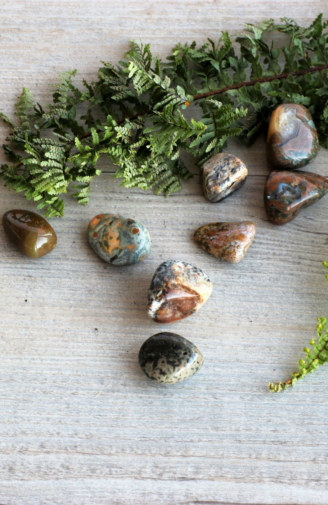 Rainforest Jasper (aka Rhyolite) Tumbled Stone - A Grade